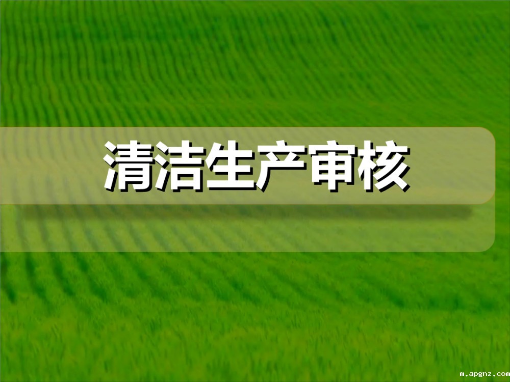 重点清洁生产审核企业公示信息表